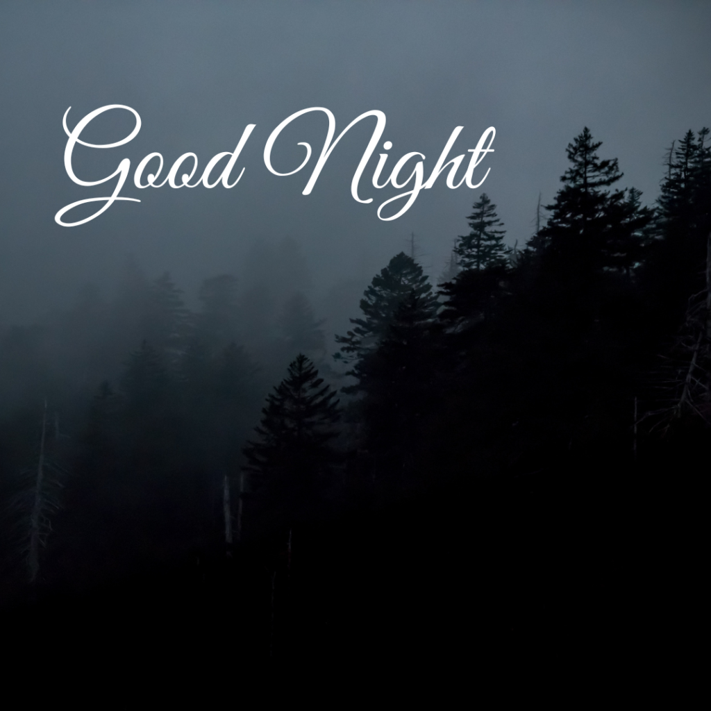 Good Night Images: The Perfect Way to Say Sleep Well 27 Black forest moon light emitting Good Night Images
