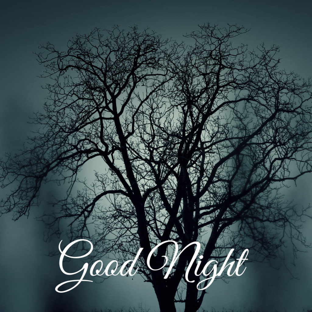 Good Night Images: The Perfect Way to Say Sleep Well 5 Blurry Moon light with white cloud without leaves tree Good Night photo