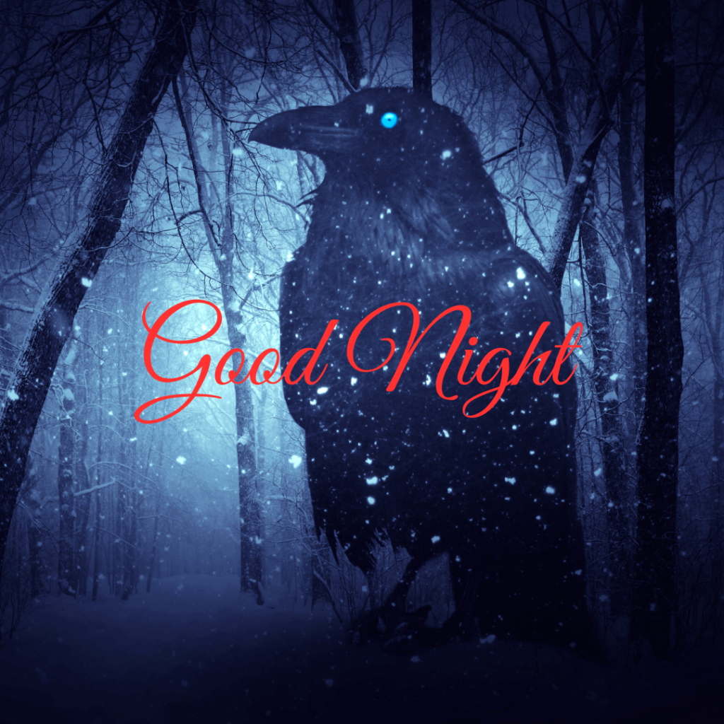 Good Night Images: The Perfect Way to Say Sleep Well 25 Blurry Moon light with white cloud without leaves tree black forest with crow Good Night photo