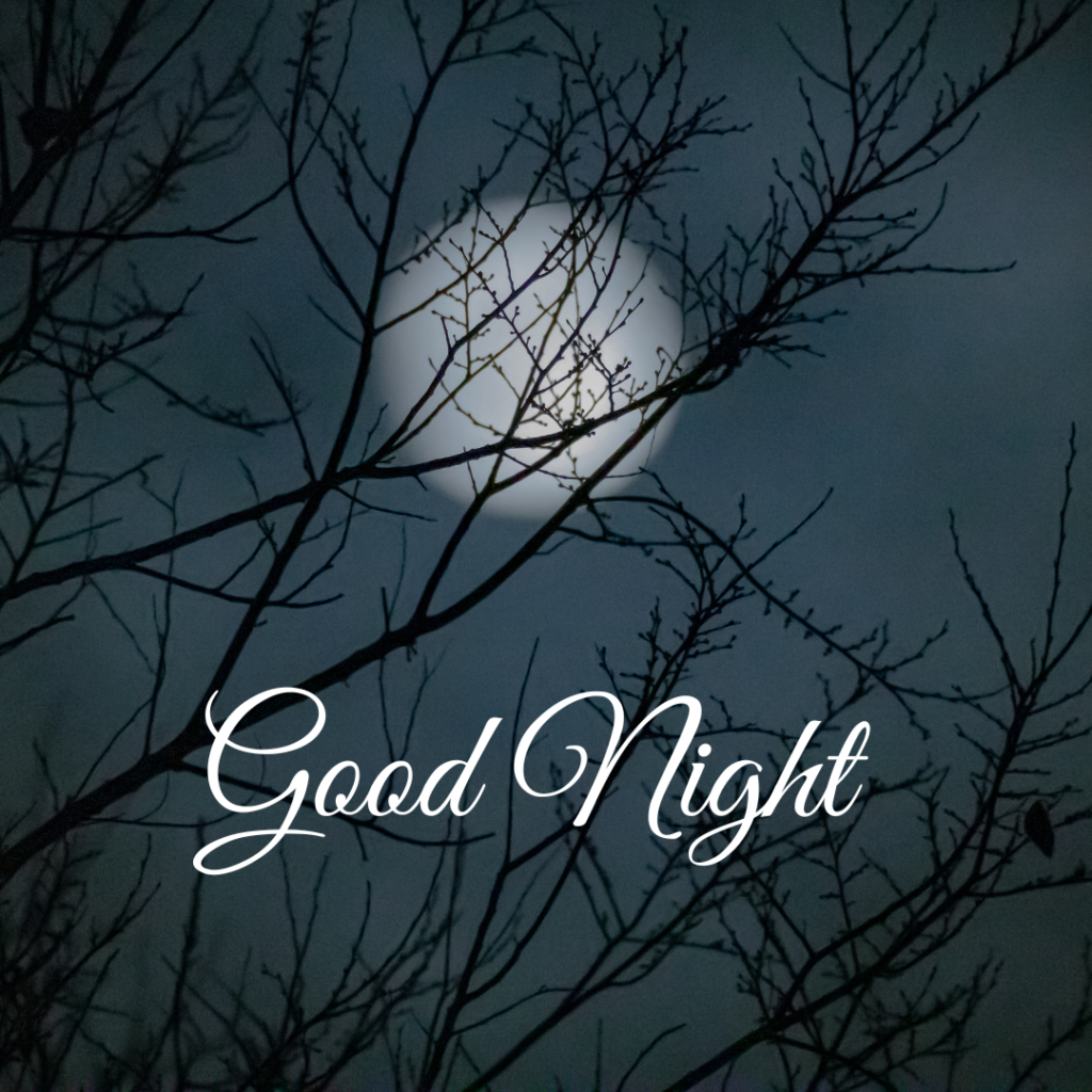 Good Night Images: The Perfect Way to Say Sleep Well 3 Blurry Moon with white cloud without leaves tree Good Night photo
