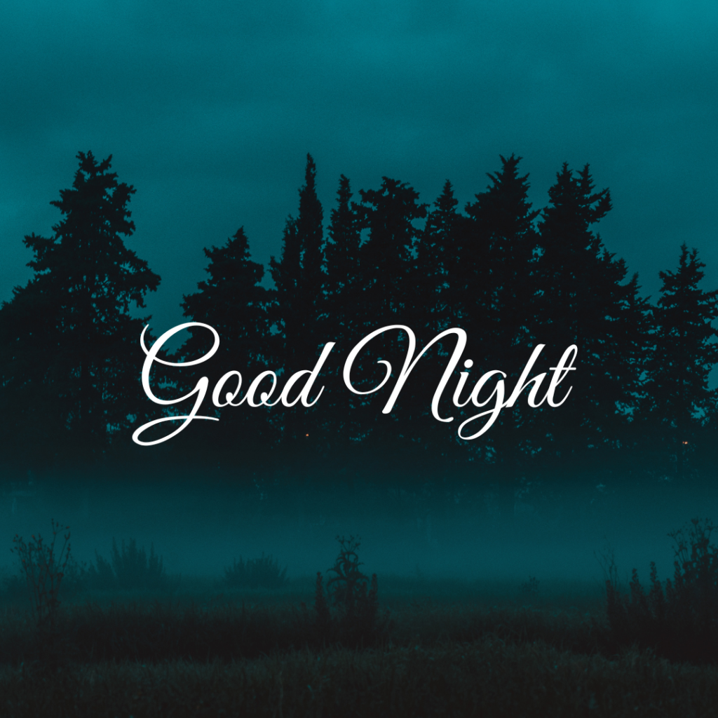 Good Night Images: The Perfect Way to Say Sleep Well 17 Midnight could white fogged atmosphere green black forest Good Night Images
