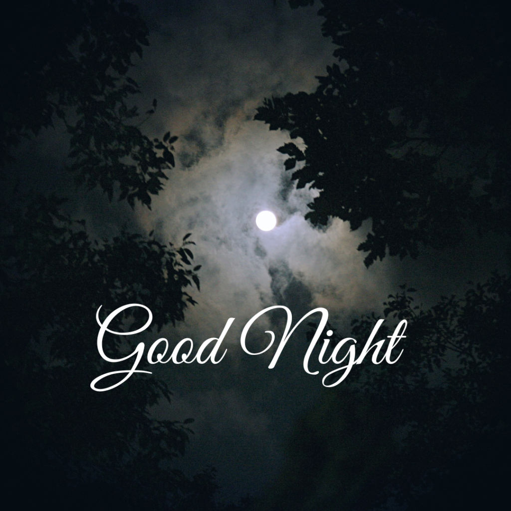 Good Night Images: The Perfect Way to Say Sleep Well 14 Moon light with white cloud cover leaves tree Good Night photo