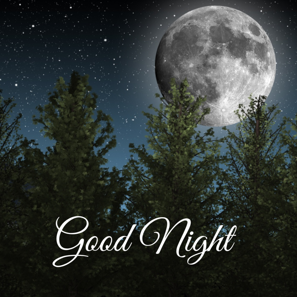 Good Night Images: The Perfect Way to Say Sleep Well 8 Silver color Moon shining stars with green forest good night images