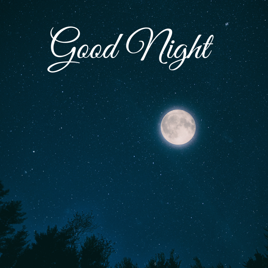 Good Night Images: The Perfect Way to Say Sleep Well 11 Stars and full moon clear sky forest good night photo