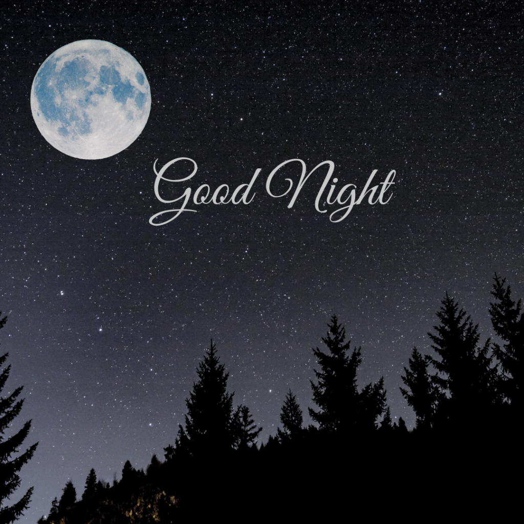 Good Night Images: The Perfect Way to Say Sleep Well 10 Stars and moon clear sky forest good night photo
